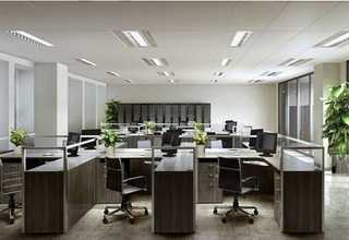 广东销售柴油机铲车值得推荐