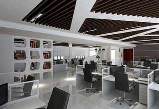 泰安野生黑木耳干货哪家品质好