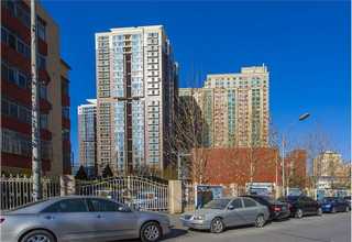 网带提升机定制价格