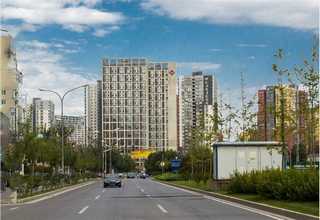 706001细胞培养皿费用